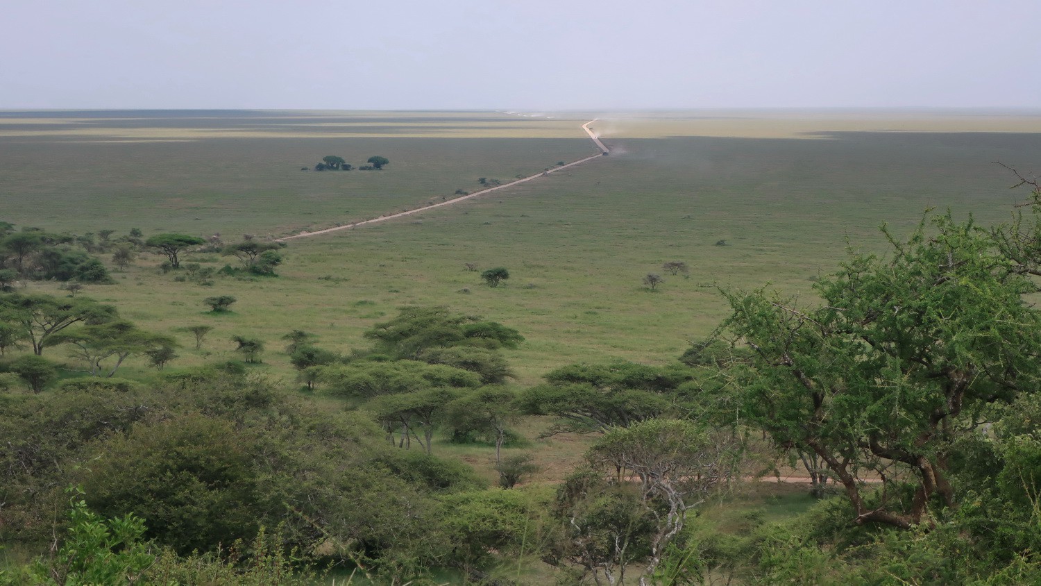 Serengeti seen from the viewpoint on its western entrance